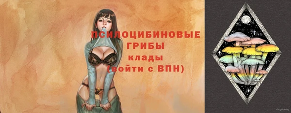 тгк Дмитровск