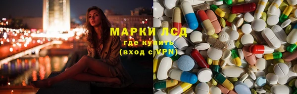 тгк Дмитровск