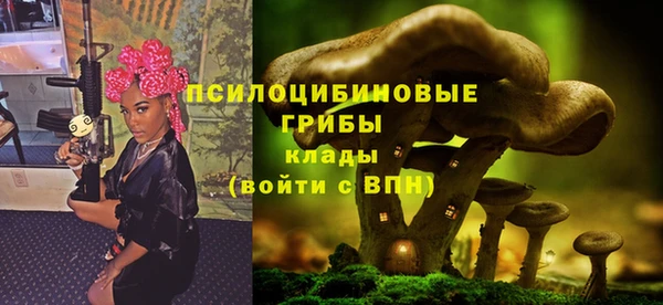 тгк Дмитровск