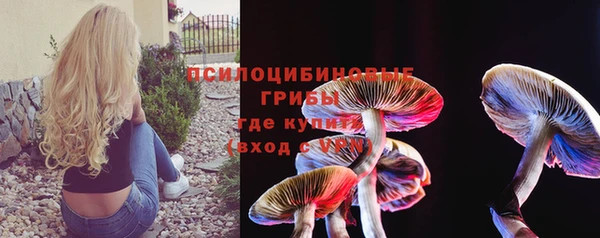 ПСИЛОЦИБИНОВЫЕ ГРИБЫ Ельня