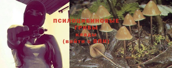 MDMA Дмитриев