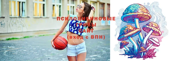 тгк Дмитровск