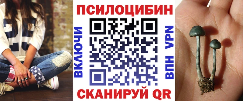 Галлюциногенные грибы Psilocybine cubensis  Купить закладки  Полесск 